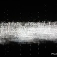 Sine Wave