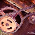 Chain Drive V
