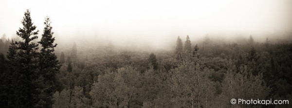 Facebook Cover Photo Misty Morning