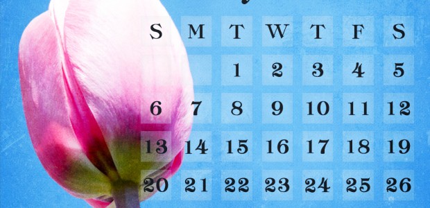 May 2012 Calendar Need an update to your computer desktop background? Check out this wallpaper for May in 5 sizes. 1024 x 68, 1280 x 800, 1280 x 1024, 1440 x 900 and...
