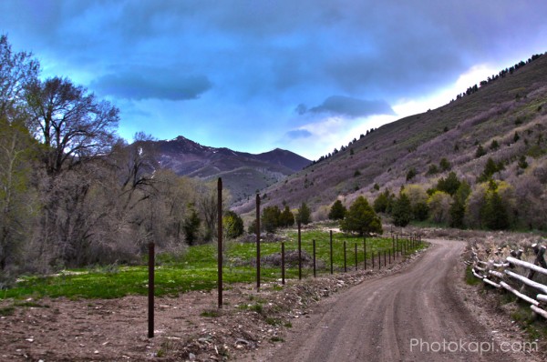 Winding Road HDR