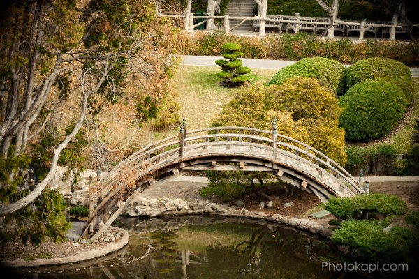  Huntington Gardens and Libary | Photography by Photokapi.com