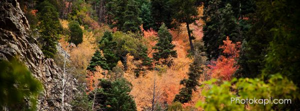 Fall Themed Facebook Cover Photos | Photokapi.com