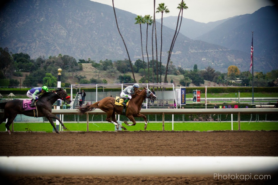 Santa Anita Racetrack – Photokapi.com