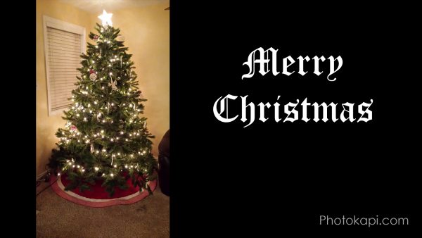 Christmas Tree Time-lapse Preview