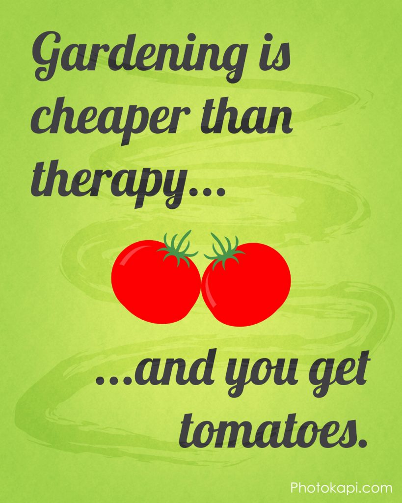 Gardening is Cheaper Than Therapy, And You Get Tomatoes | Photokapi.com