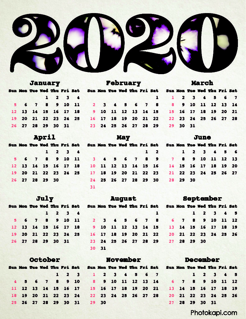 2020 Calendar Pansies | Photokapi.com